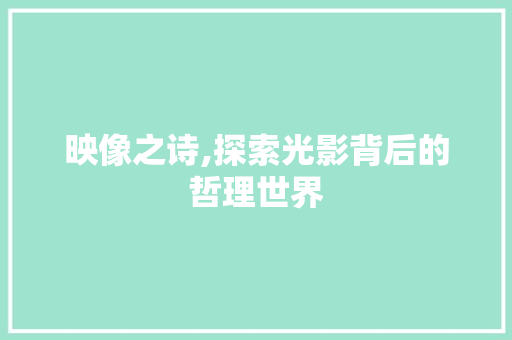 映像之诗,探索光影背后的哲理世界