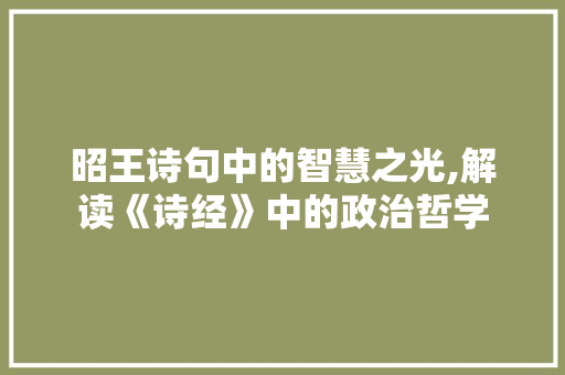 昭王诗句中的智慧之光,解读《诗经》中的政治哲学