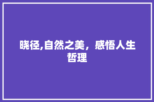 晓径,自然之美，感悟人生哲理