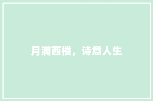月满西楼，诗意人生