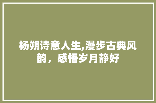 杨朔诗意人生,漫步古典风韵，感悟岁月静好