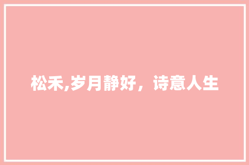 松禾,岁月静好，诗意人生