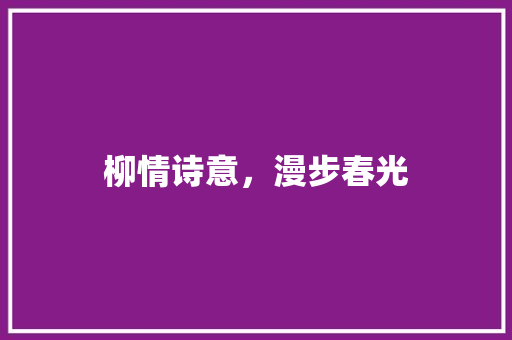柳情诗意，漫步春光