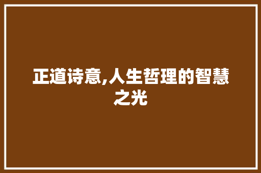 正道诗意,人生哲理的智慧之光 社交媒体