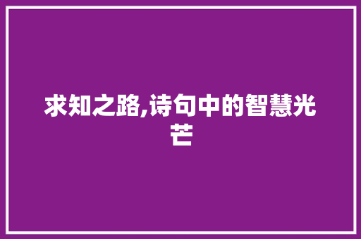 求知之路,诗句中的智慧光芒