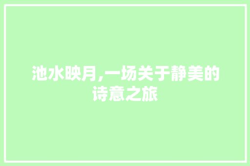 池水映月,一场关于静美的诗意之旅