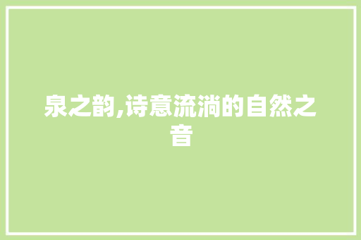 泉之韵,诗意流淌的自然之音