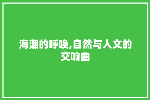 海潮的呼唤,自然与人文的交响曲