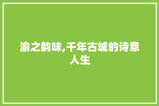 渝之韵味,千年古城的诗意人生 项目报告