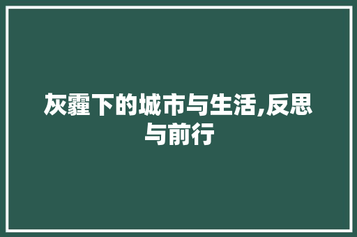 灰霾下的城市与生活,反思与前行