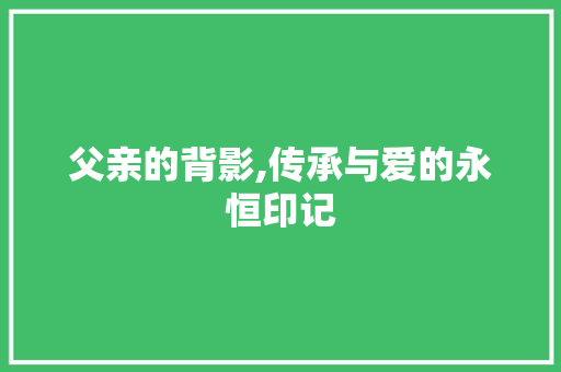 父亲的背影,传承与爱的永恒印记