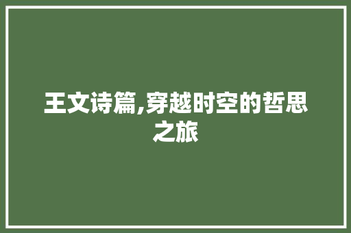 王文诗篇,穿越时空的哲思之旅