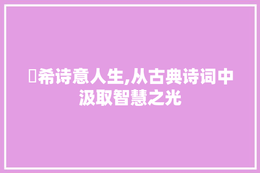 璟希诗意人生,从古典诗词中汲取智慧之光