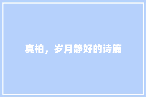 真柏，岁月静好的诗篇