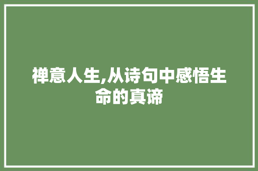 禅意人生,从诗句中感悟生命的真谛