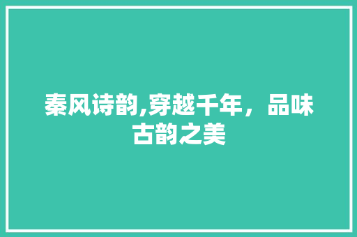 秦风诗韵,穿越千年，品味古韵之美