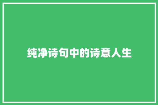 纯净诗句中的诗意人生