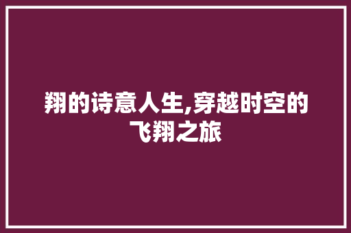 翔的诗意人生,穿越时空的飞翔之旅