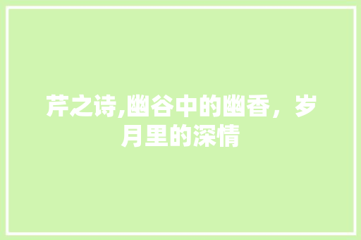 芹之诗,幽谷中的幽香，岁月里的深情 会议纪要
