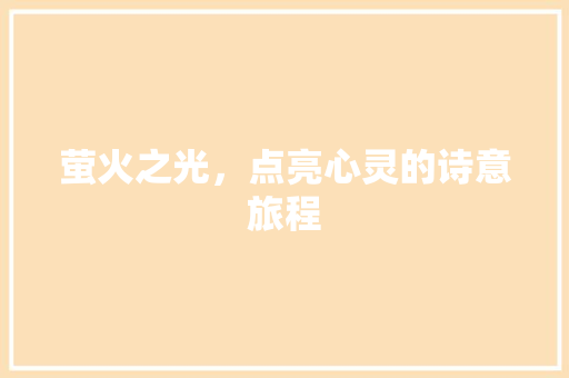 萤火之光，点亮心灵的诗意旅程 会议纪要