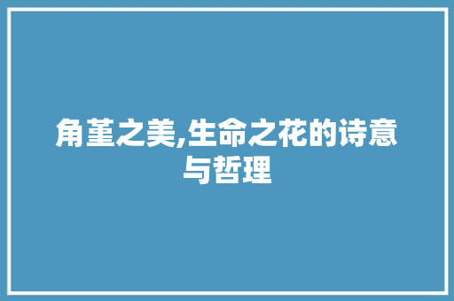 角堇之美,生命之花的诗意与哲理