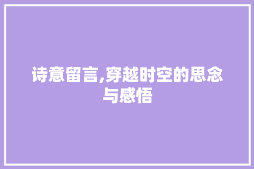诗意留言,穿越时空的思念与感悟