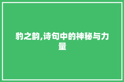 豹之韵,诗句中的神秘与力量