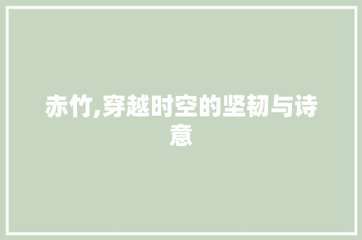 赤竹,穿越时空的坚韧与诗意