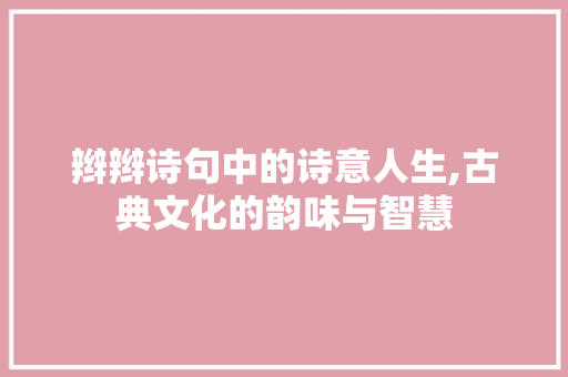 辫辫诗句中的诗意人生,古典文化的韵味与智慧