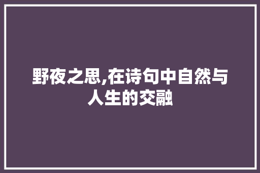 野夜之思,在诗句中自然与人生的交融