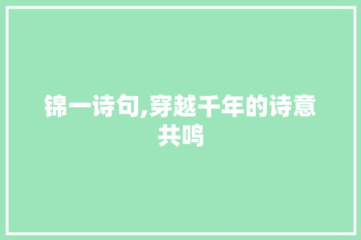 锦一诗句,穿越千年的诗意共鸣