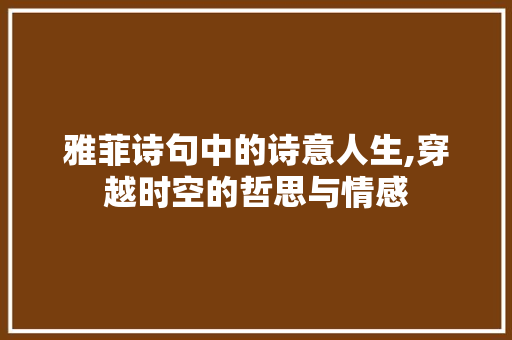 雅菲诗句中的诗意人生,穿越时空的哲思与情感