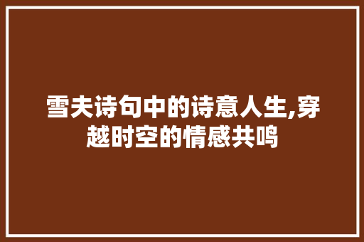 雪夫诗句中的诗意人生,穿越时空的情感共鸣