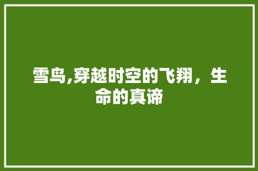 雪鸟,穿越时空的飞翔，生命的真谛