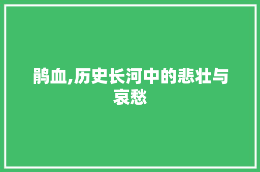 鹃血,历史长河中的悲壮与哀愁