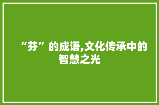“芬”的成语,文化传承中的智慧之光