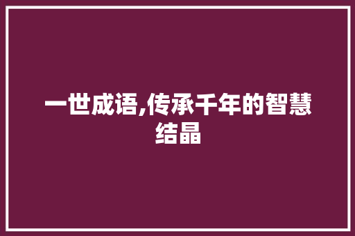 一世成语,传承千年的智慧结晶