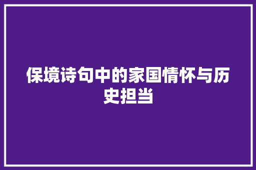 保境诗句中的家国情怀与历史担当 职场写作