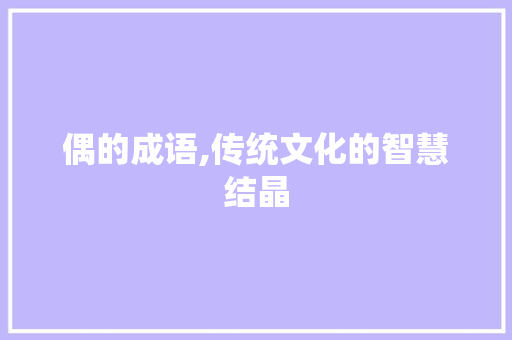 偶的成语,传统文化的智慧结晶