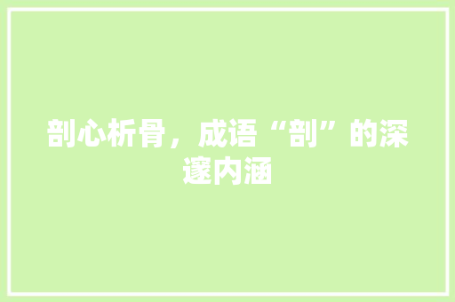 剖心析骨，成语“剖”的深邃内涵