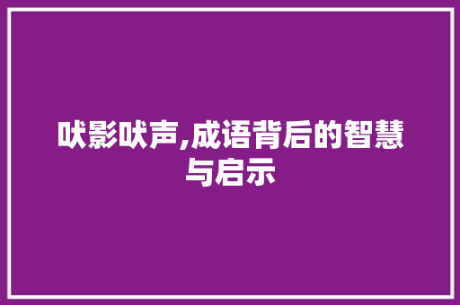 吠影吠声,成语背后的智慧与启示