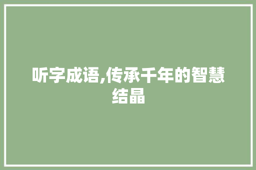 听字成语,传承千年的智慧结晶