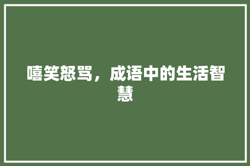 嘻笑怒骂，成语中的生活智慧 职场写作