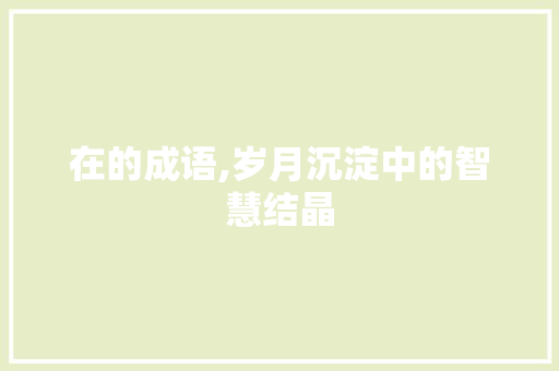 在的成语,岁月沉淀中的智慧结晶
