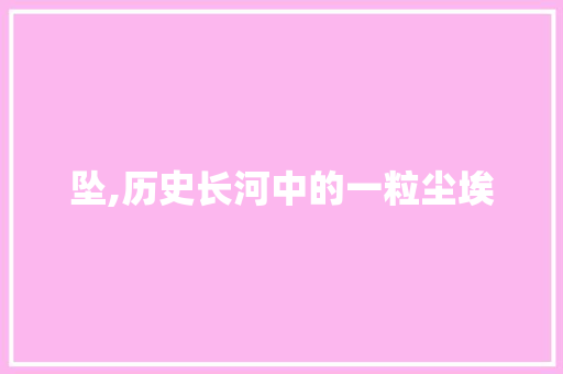 坠,历史长河中的一粒尘埃