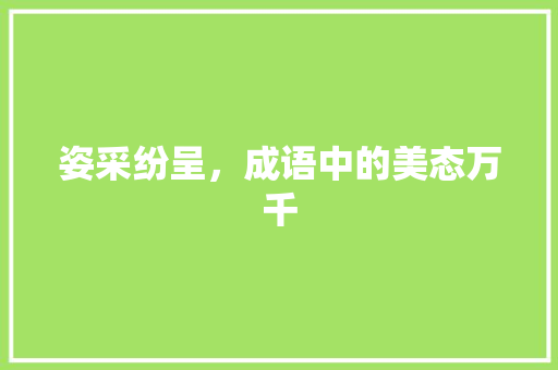 姿采纷呈，成语中的美态万千
