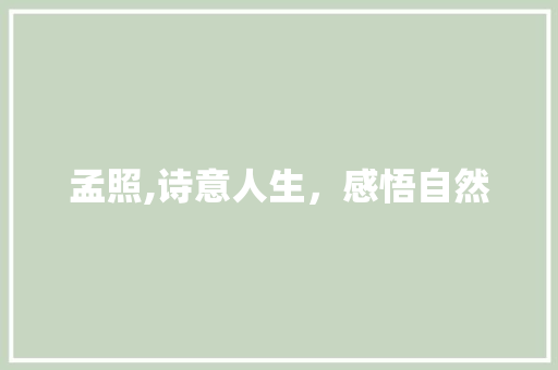 孟照,诗意人生，感悟自然