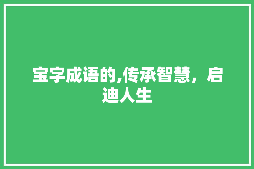 宝字成语的,传承智慧，启迪人生