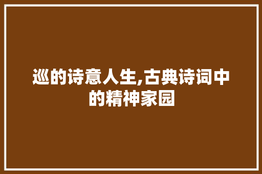 巡的诗意人生,古典诗词中的精神家园