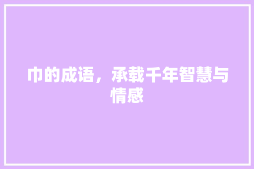 巾的成语，承载千年智慧与情感
